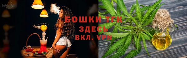 дурь Дмитровск