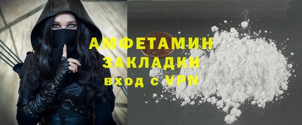 соль ск Дмитров
