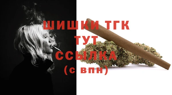 соль ск Дмитров