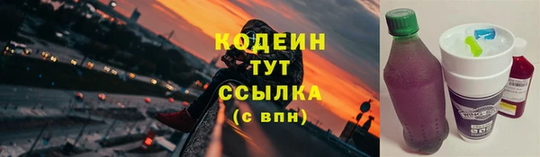 дурь Дмитровск