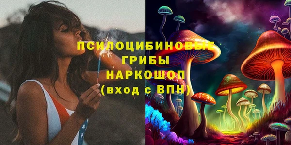 соль ск Дмитров