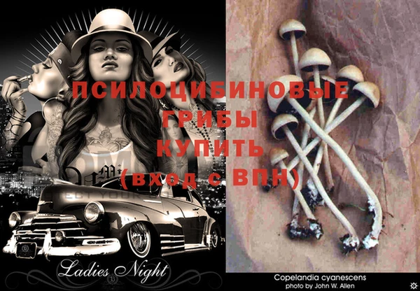 гашиш Дмитриев
