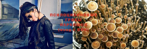 гашиш Дмитриев