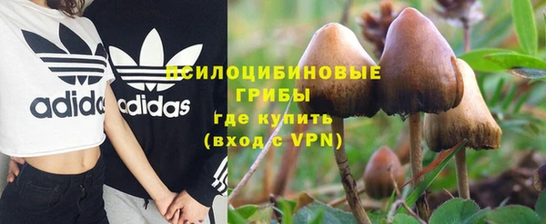 соль ск Дмитров