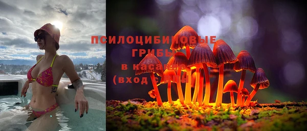 гашиш Дмитриев