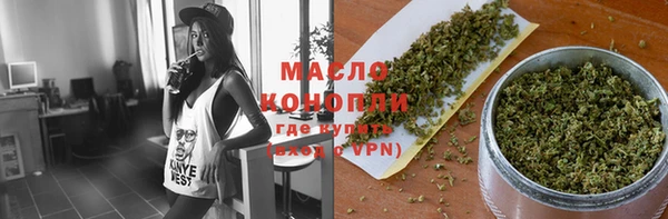 соль ск Дмитров
